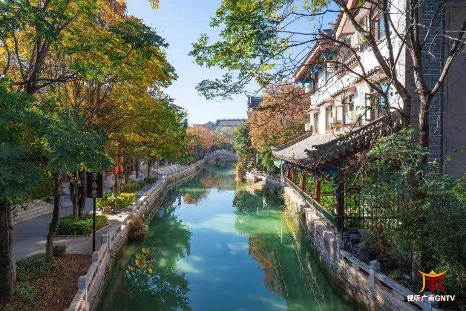 逃离制药厂